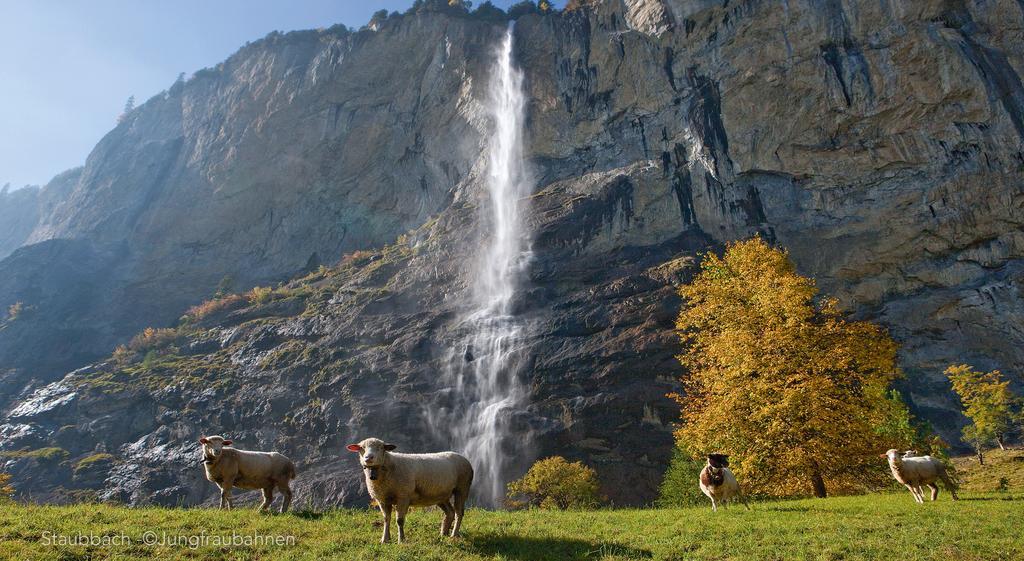 Camping Jungfrau Lauterbrunnen Ngoại thất bức ảnh