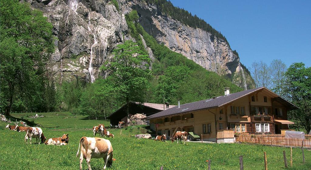 Camping Jungfrau Lauterbrunnen Ngoại thất bức ảnh